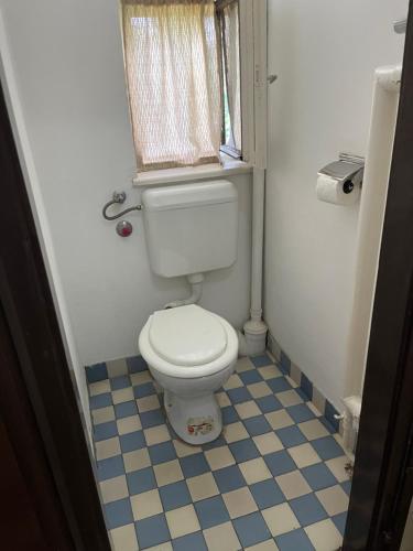 a bathroom with a white toilet and a window at Nosztalgia Villa in Mezőkövesd