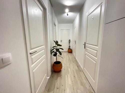 un couloir avec deux portes blanches et une plante en pot dans l'établissement Magnifique chambre Avec terrasse (option clim ), à Bagneux