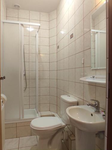 La salle de bains est pourvue de toilettes, d'un lavabo et d'une douche. dans l'établissement MAGNOLIA Duszniki Zdrój, à Duszniki-Zdrój