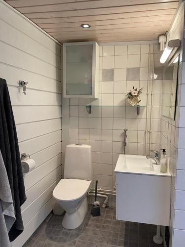 a bathroom with a toilet and a sink at Villa Valkeinen in Nilsiä