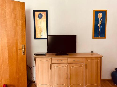 einen Fernseher auf einem Holzschrank in einem Zimmer in der Unterkunft Ferienwohnung Geister in Naumburg