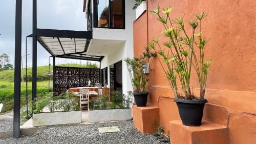 two potted plants sitting on the side of a building at Aguas Claras Luxury Hospedaje in Filandia