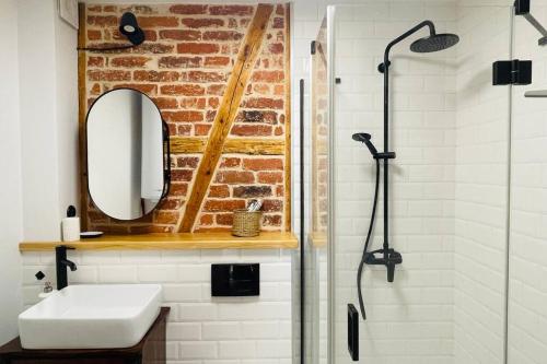 ein Badezimmer mit Waschbecken, Spiegel und Dusche in der Unterkunft U Babci Marysi in Karpacz