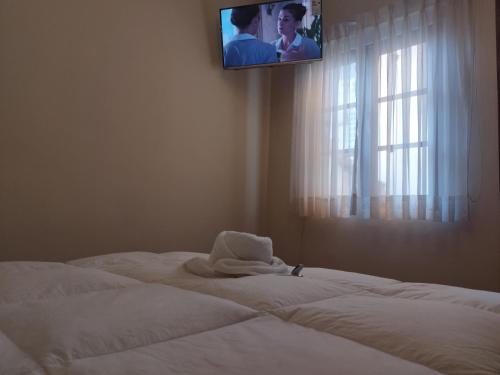 Hotel RustiCall في لاباز: غرفة نوم مع سرير وتلفزيون على الحائط