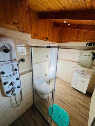 a bathroom with a shower with a toilet and a sink at Altos de Pichilemu in Pichilemu