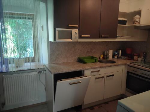 a kitchen with a sink and a counter top at Holiday Apartment Murtal in Judenburg