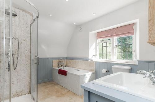 a bathroom with a shower and a toilet and a sink at Robin Cottage in Chipping Campden