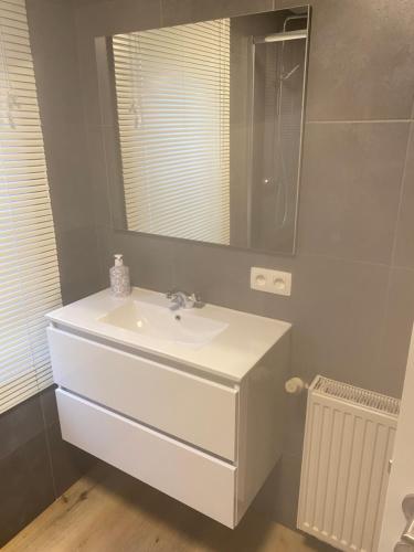 ein Badezimmer mit einem weißen Waschbecken und einem Spiegel in der Unterkunft Chez Mo in La-Roche-en-Ardenne