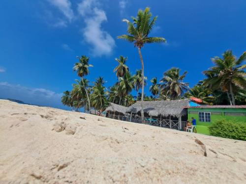 パナマシティにあるDiegun Toursのヤシの木が茂る浜辺の家