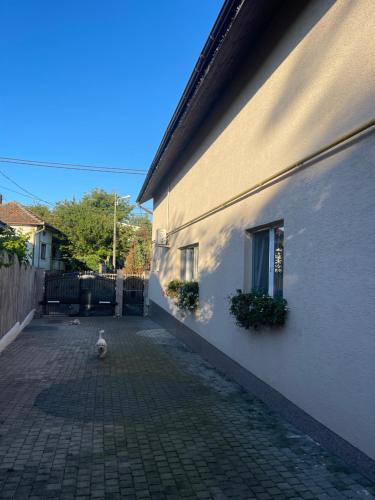 Photo de la galerie de l'établissement G&A Hunedoara Apartment, à Hunedoara