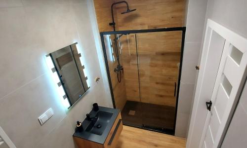 a bathroom with a shower with a sink and a mirror at Allewidok 2 in Jelenia Góra