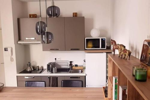 une cuisine avec un comptoir avec un micro-ondes dans l'établissement L'Appart Aixois - au coeur de la ville - Location, à Aix-les-Bains