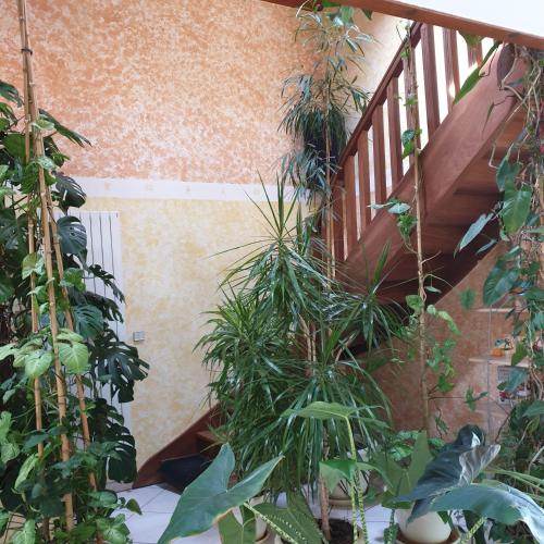 eine Treppe mit vielen Pflanzen neben einem Gebäude in der Unterkunft Chambre 2 in La Brede