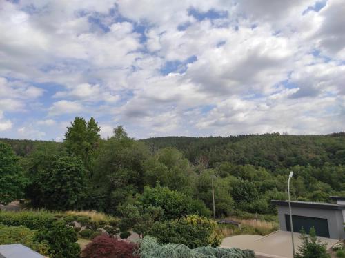 a view of a hill with trees and a building at Ferienwohnung am Zweitälerweg in Weiskirchen