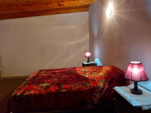 a bedroom with a bed and two lamps on tables at Quincho la querencia in Posadas