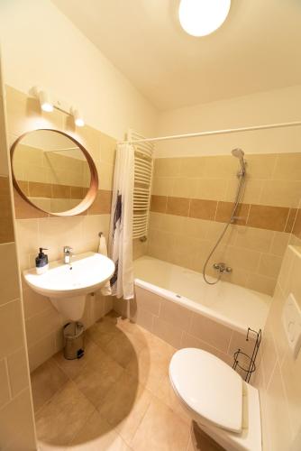 W łazience znajduje się umywalka, toaleta i prysznic. w obiekcie Lakeside Heritage Apartment w Balatonfüred