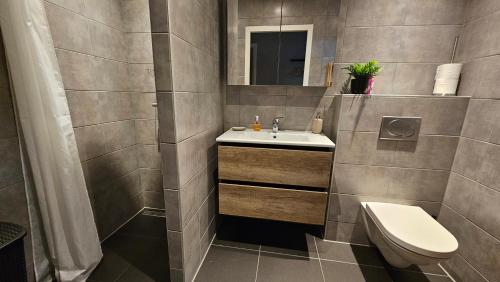 een badkamer met een wastafel en een toilet bij Huisje Weideblik in Doornspijk