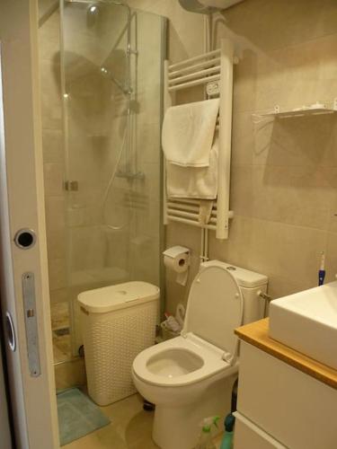 une petite salle de bain avec toilettes et douche dans l'établissement Cocon cosy & calme / Montmartre, à Paris