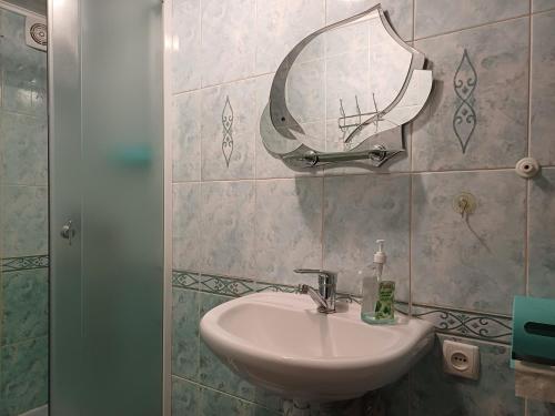 uma casa de banho com um lavatório e um espelho na parede em Green House Panorama Karpat em Volosyanka