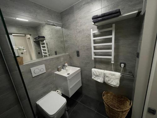 a bathroom with a toilet and a sink and a mirror at Studio Prosek in Prague