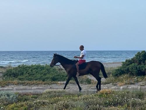 un niño pequeño montando a caballo en la playa en Bellamarina, en Sorso