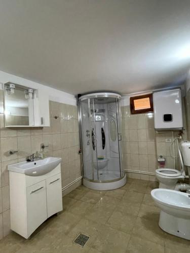 a bathroom with a shower and a sink and a toilet at Sunset By The Farm in Piatra Neamţ