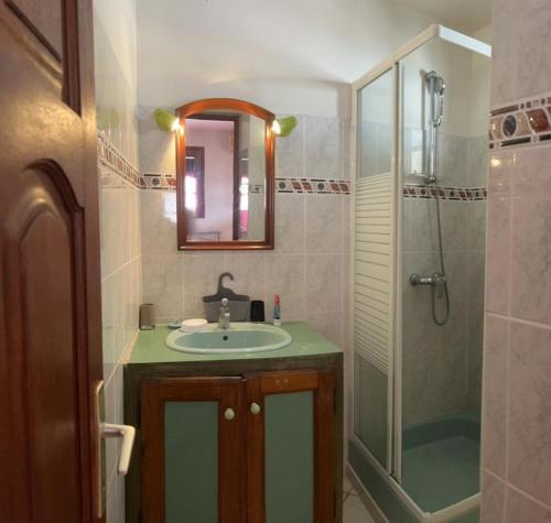 un bagno con lavandino e doccia con specchio di Fleur Magique a Deshaies