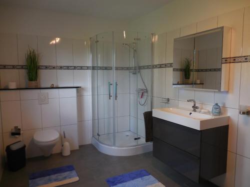 a bathroom with a shower and a sink and a toilet at Salthuus Ostfriesland in Friedeburg