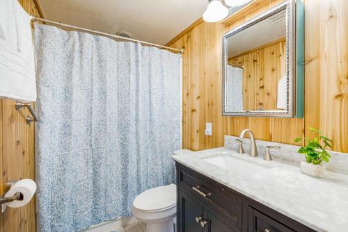 a bathroom with a sink and a toilet and a mirror at Quaint Cabin w Hot Tub Firepit & Deck in Hedgesville