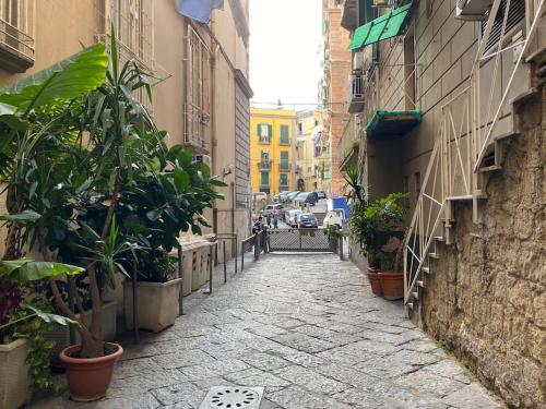 la casa di mio padre