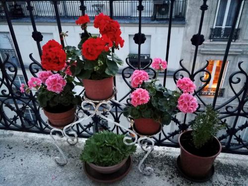 a group of potted flowers sitting on a fence at Appartement SAINTE ELISABETH - République in Paris