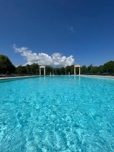 una gran piscina de agua azul con árboles en el fondo en Mont Ventoux-Chateau Gipieres app nr 9, en Montbrun-les-Bains