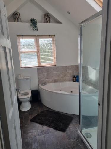 a bathroom with a tub and a toilet and a shower at Bob's Bunkhouse in Troed-y-rhiw