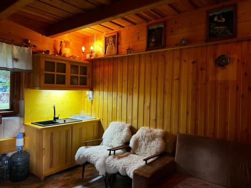 a living room with wooden walls and a couch and a sink at Domek pod Modrzewiem in Nowy Targ