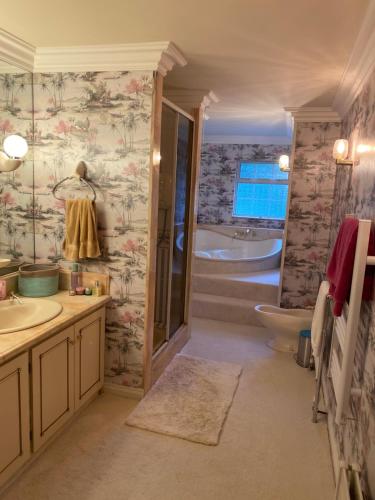 a bathroom with a tub and a sink and a toilet at Winterwood in Listowel