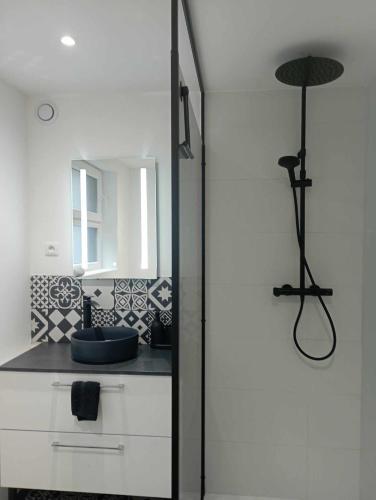une salle de bain avec un lavabo et un miroir dans l'établissement Maison hyper centre Gravelines - 5 chambres, à Gravelines