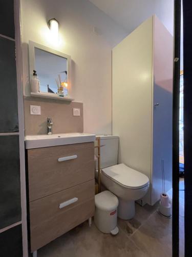 uma casa de banho com um WC, um lavatório e um espelho. em Appartement cosy avec cuisine équipée et terrasse ensoleillée em Talence