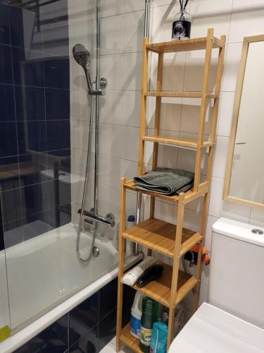 een houten ladder in een badkamer met een douche bij Apartamento Rosa Puerta del Sol (2) in Madrid