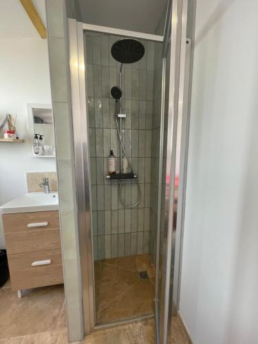 a shower with a glass door in a bathroom at studette cosy toute équipée Proche Bordeaux centre ,kedge,hopitaux,stade et université in Talence