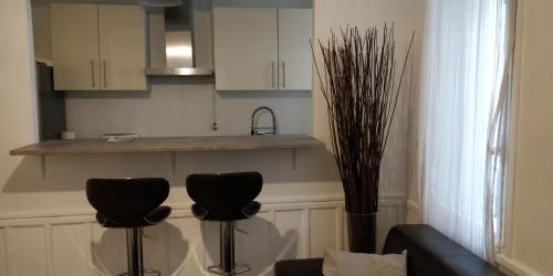 Nice and cozy 1b apartment in the heart of Paris