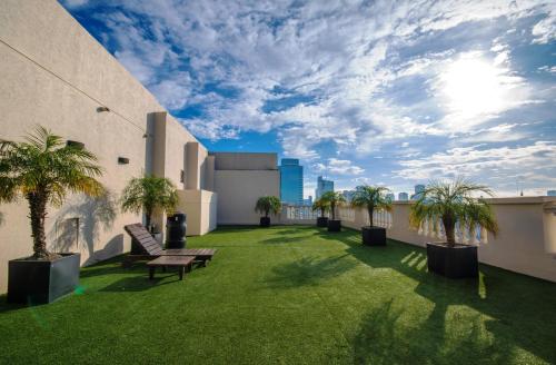 a rooftop patio with palm trees and a bench at Scala Hotel Buenos Aires in Buenos Aires