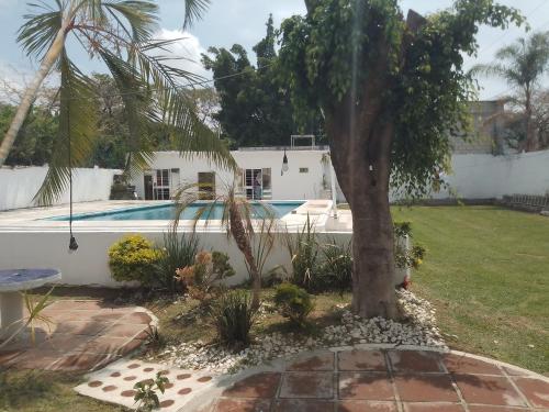 een huis met een palmboom en een zwembad bij Quinta primaveras in Cuernavaca