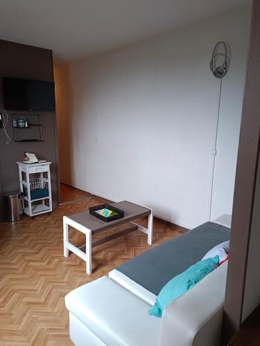 un salon avec un canapé et une table dans l'établissement Les myrtilles La Pierre Saint Martin, à Arette