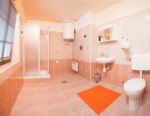 a bathroom with a shower and a toilet and a sink at Apartma na Starem Placu in Idrija