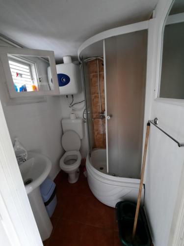 La petite salle de bains est pourvue de toilettes et d'un lavabo. dans l'établissement Ponton Maximilian, à Poiana Cîrnului