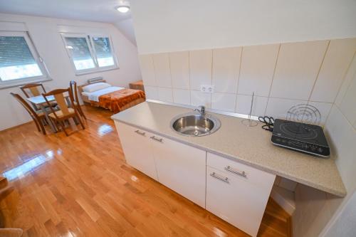 Kuchyň nebo kuchyňský kout v ubytování Hotel SLJIVNO