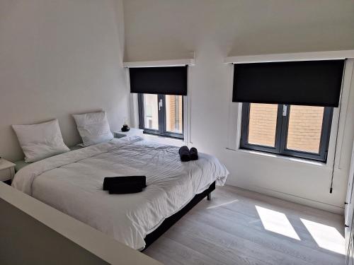 una camera bianca con un grande letto con due finestre di Huis ALNA 2 a Mechelen