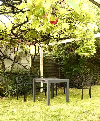 a picnic table and two benches in the grass at Rebenlaub in Heringen