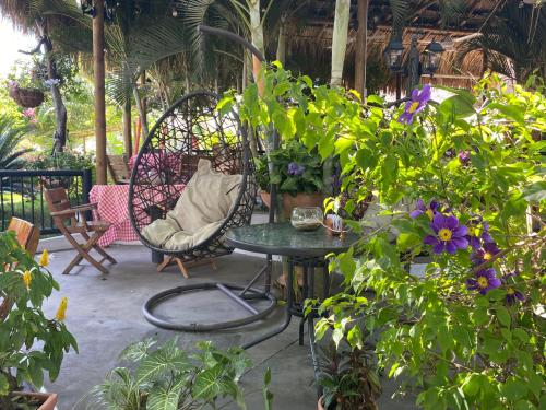 a patio with a table and chairs and plants at Bikini Hotel & Pool in Palomino