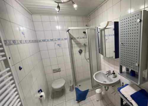 a bathroom with a shower and a toilet and a sink at Spatzennester-Vogelsberger Hof in Grebenhain